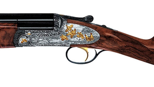 MX12 Extra Gold Image