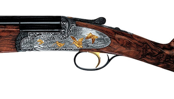 MX20 Extra Gold Image