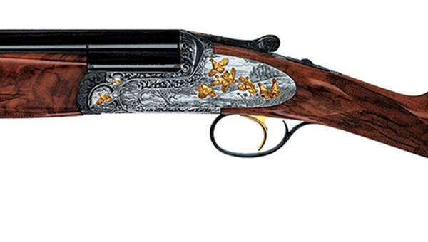 MX12 Extra Gold Image