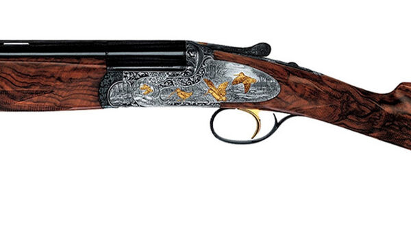 MX20 Extra Gold Image